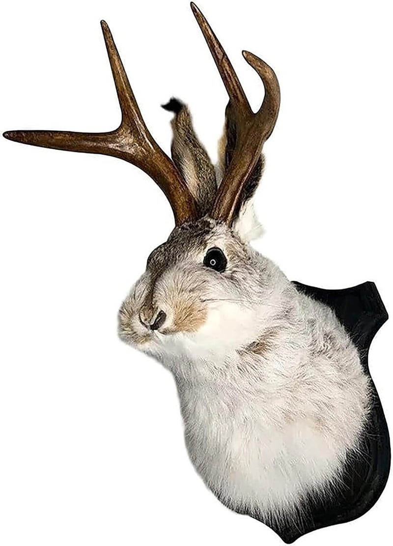 HSOSK Jackalope Mount, Jackalope Taxidermy, Deer Head Wall Mount, Resin Deer Head Animal Wall Art, for Home Wall Decoration - Image 1